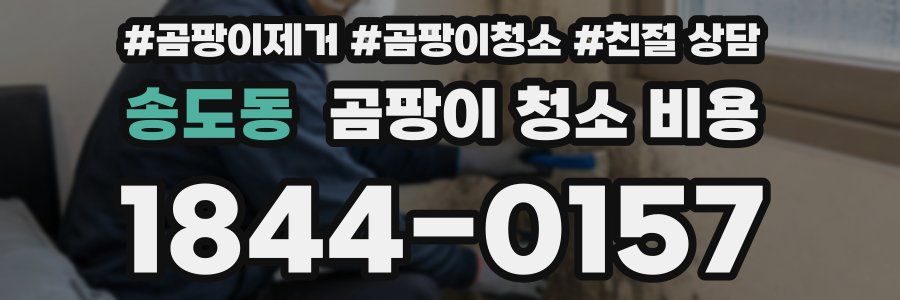 송도동 곰팡이 청소 비용