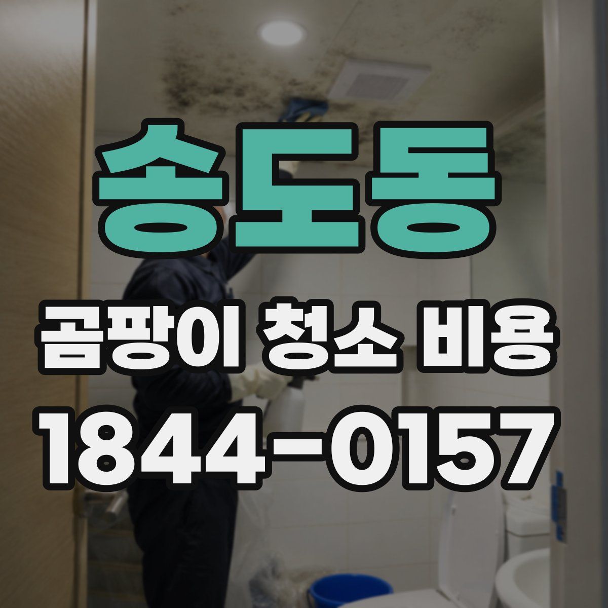 송도동 곰팡이 청소 비용