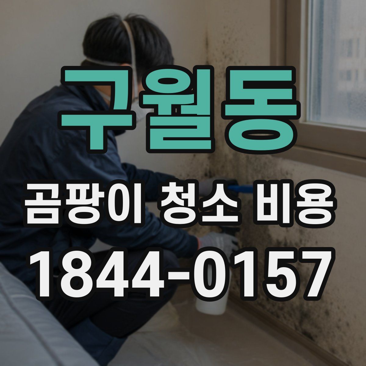 구월동 곰팡이 청소 비용