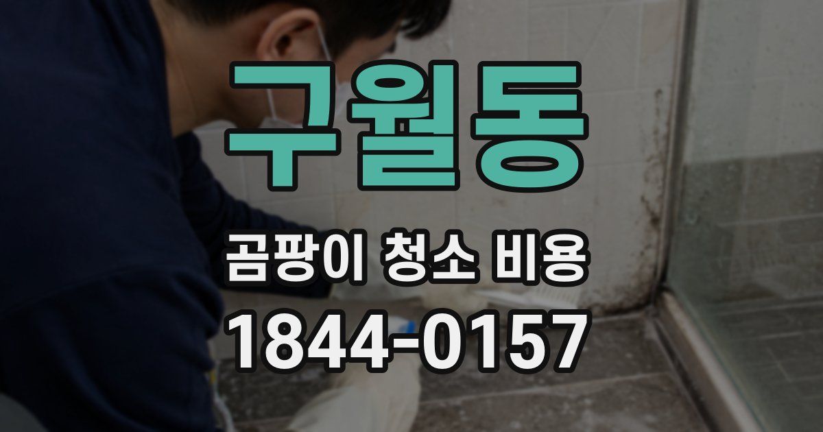 구월동 곰팡이 청소 비용