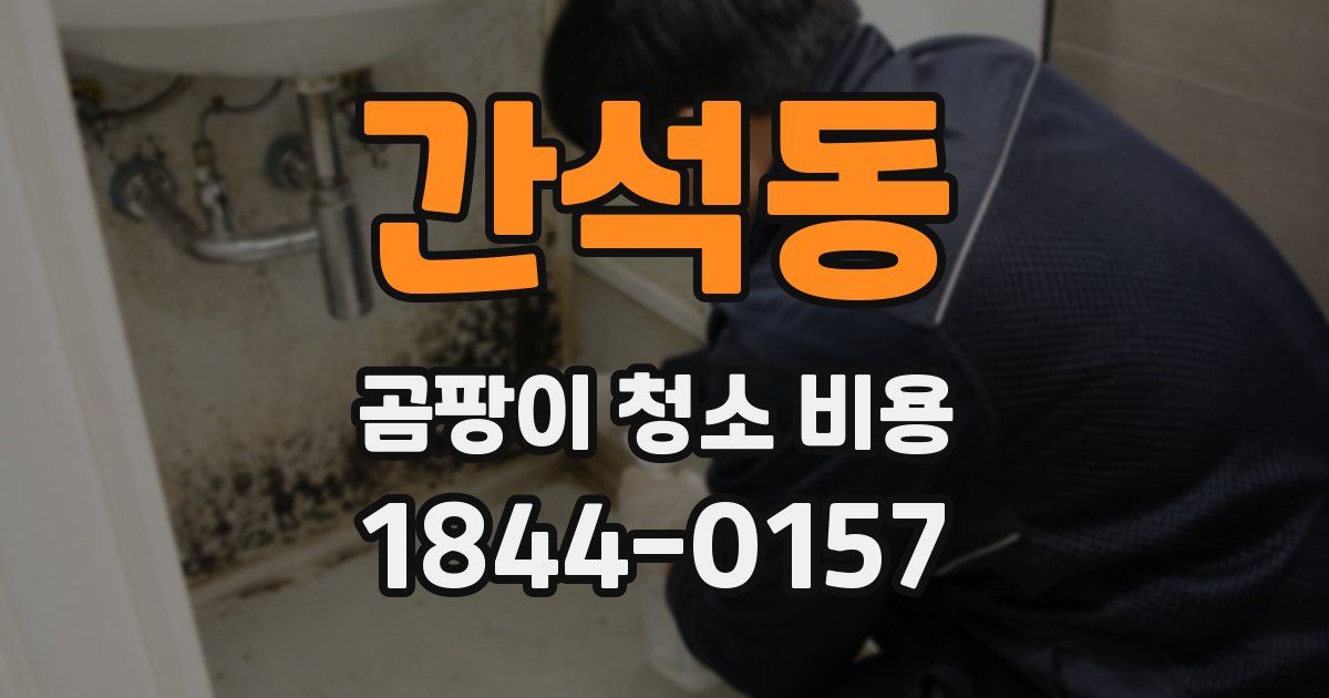 간석동 곰팡이 청소 비용