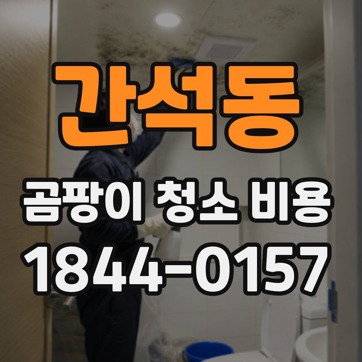 간석동 곰팡이 청소 비용