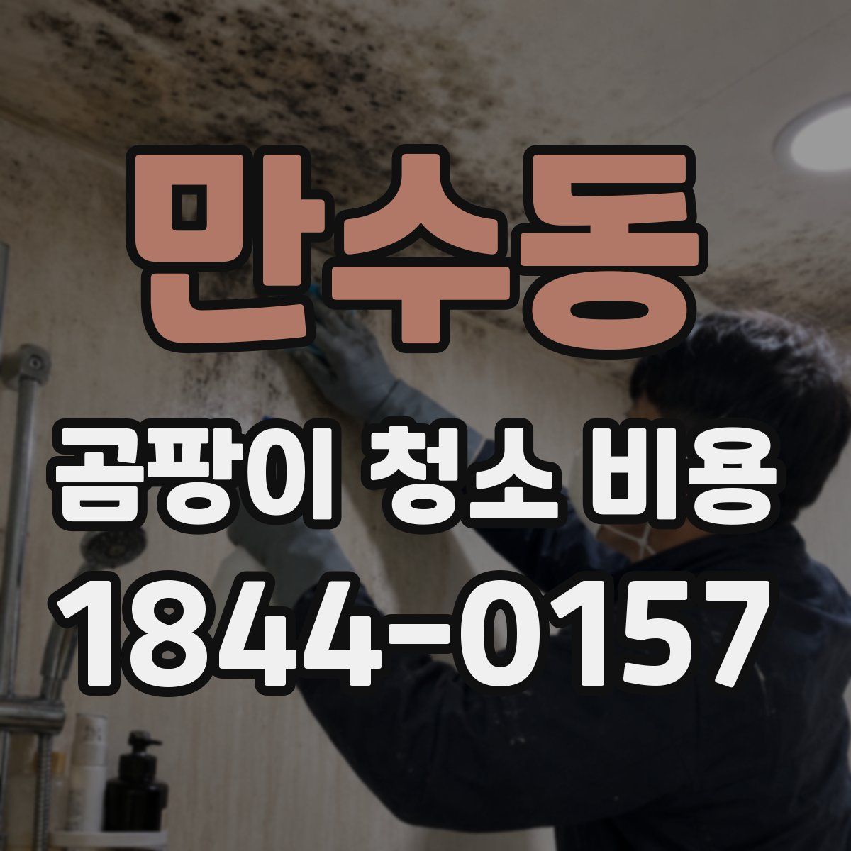 만수동 곰팡이 청소 비용