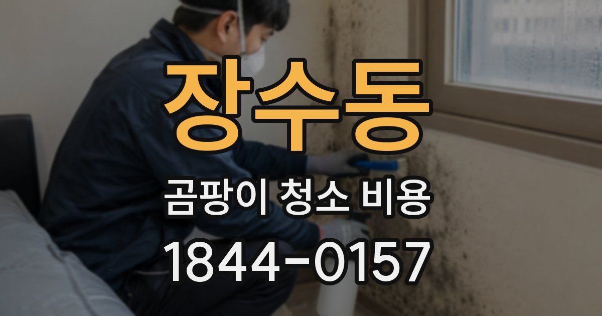 장수동 곰팡이 청소 비용