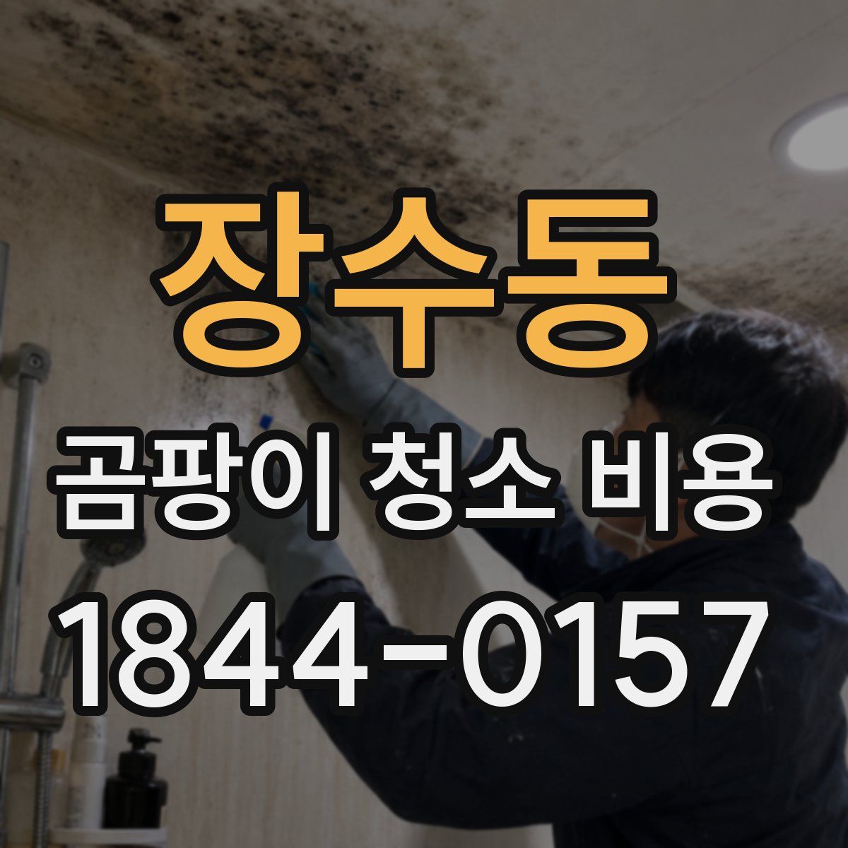 장수동 곰팡이 청소 비용