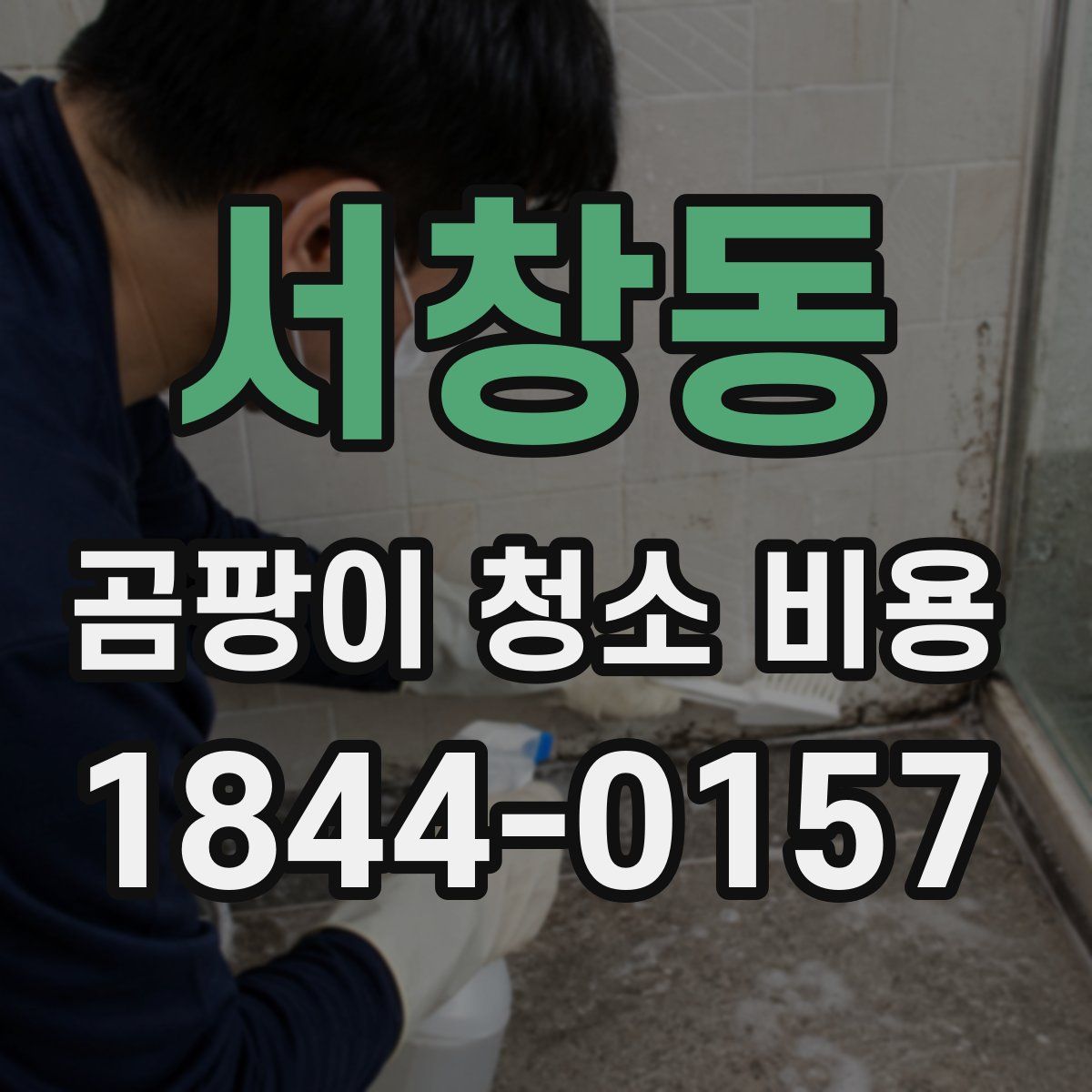 서창동 곰팡이 청소 비용