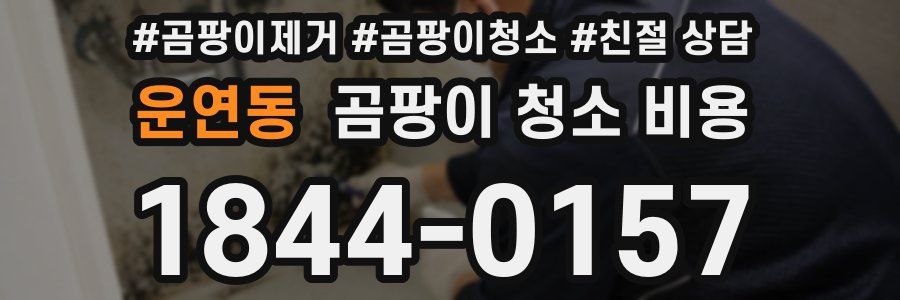 운연동 곰팡이 청소 비용