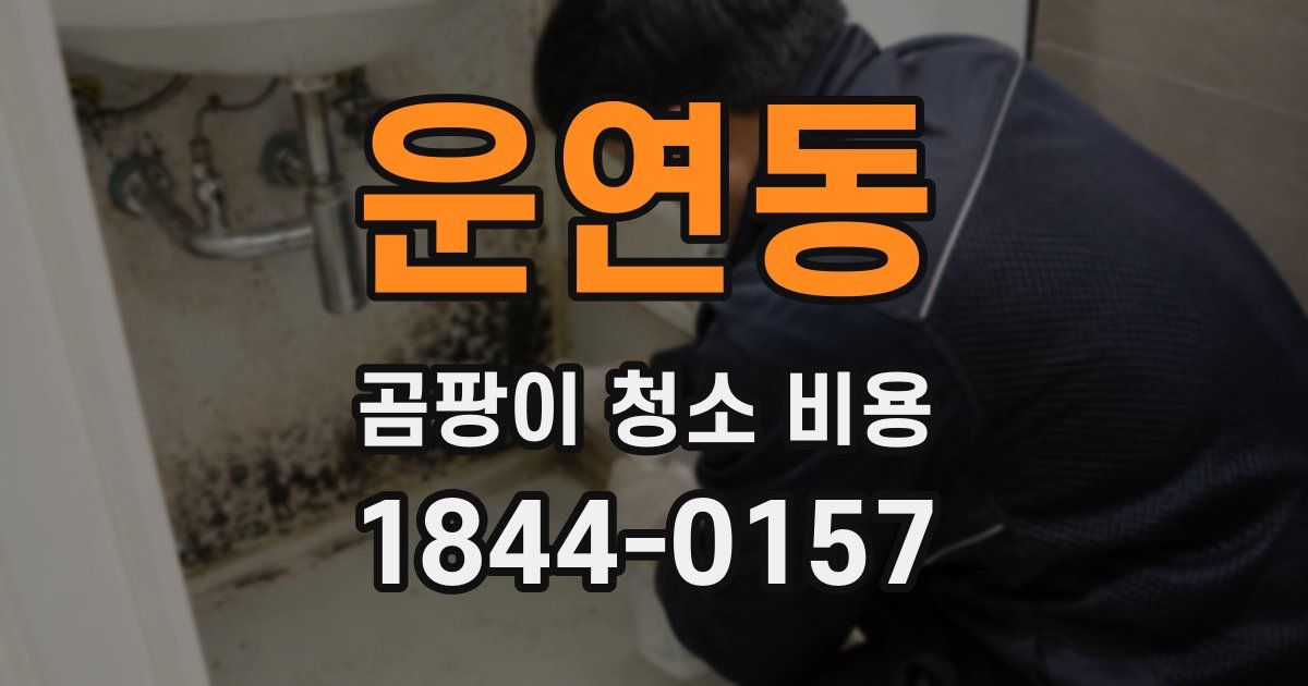 운연동 곰팡이 청소 비용