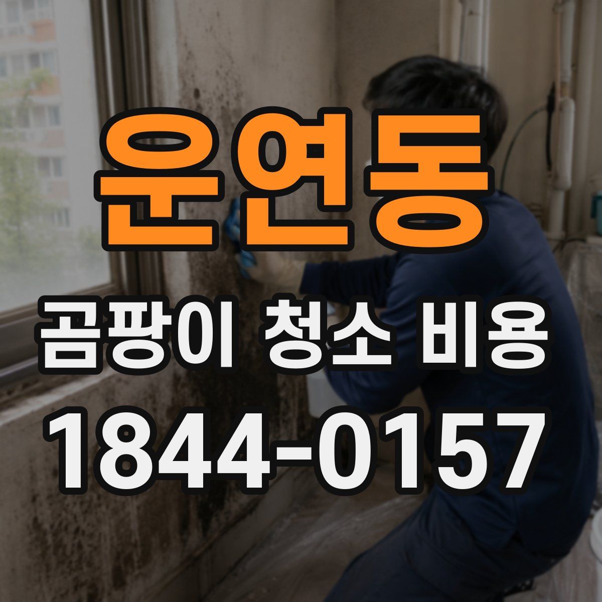 운연동 곰팡이 청소 비용