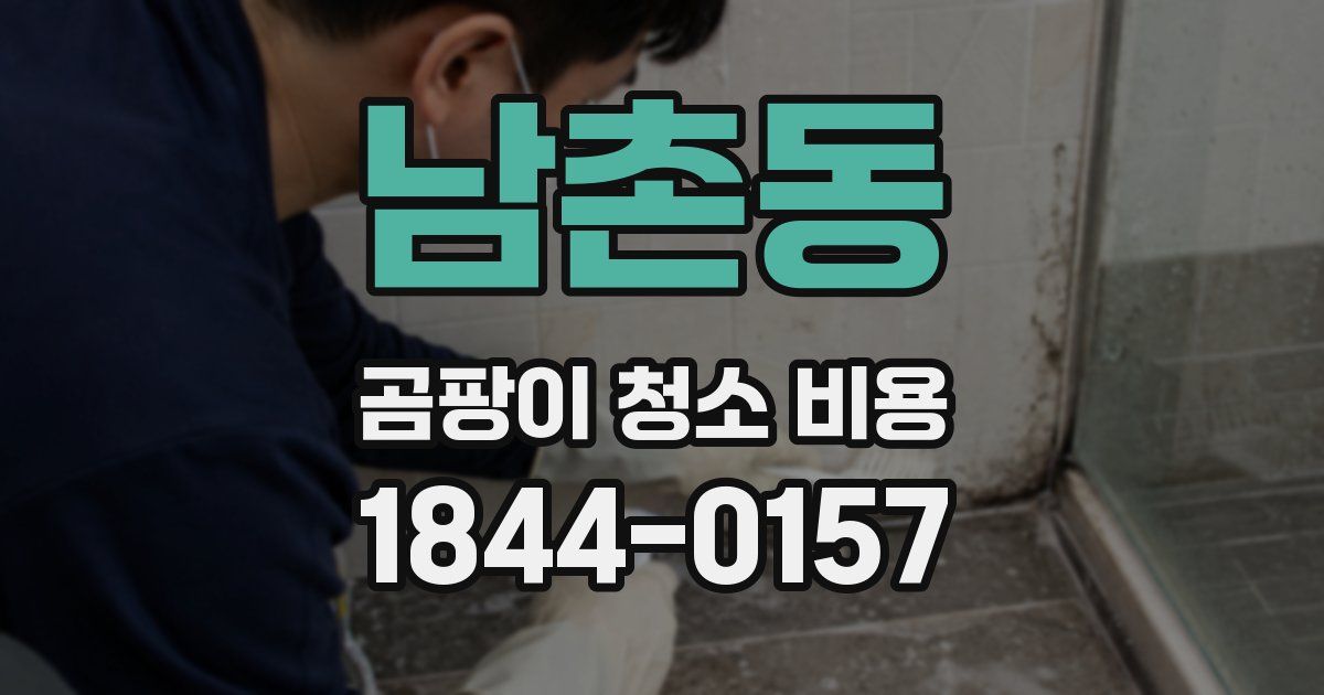 남촌동 곰팡이 청소 비용