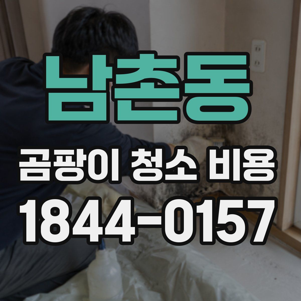 남촌동 곰팡이 청소 비용