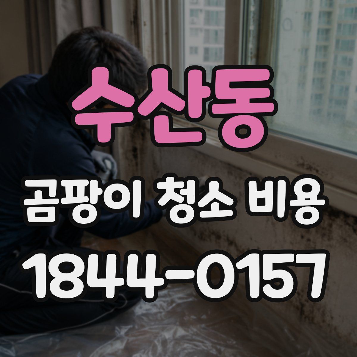 수산동 곰팡이 청소 비용