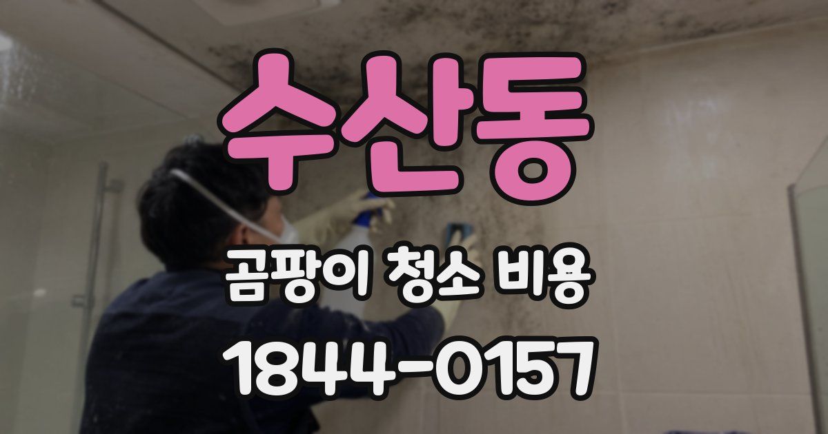수산동 곰팡이 청소 비용