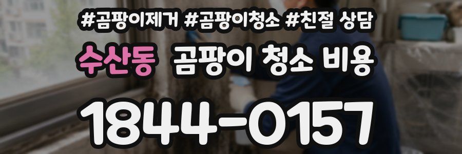 수산동 곰팡이 청소 비용