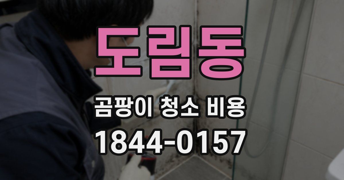 도림동 곰팡이 청소 비용