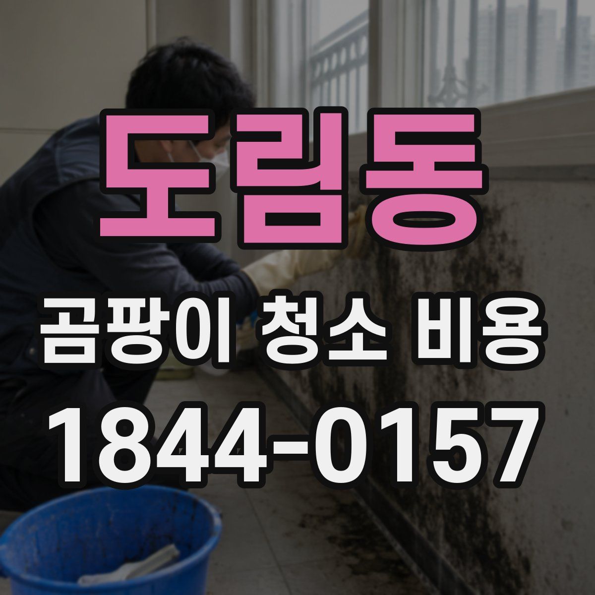 도림동 곰팡이 청소 비용