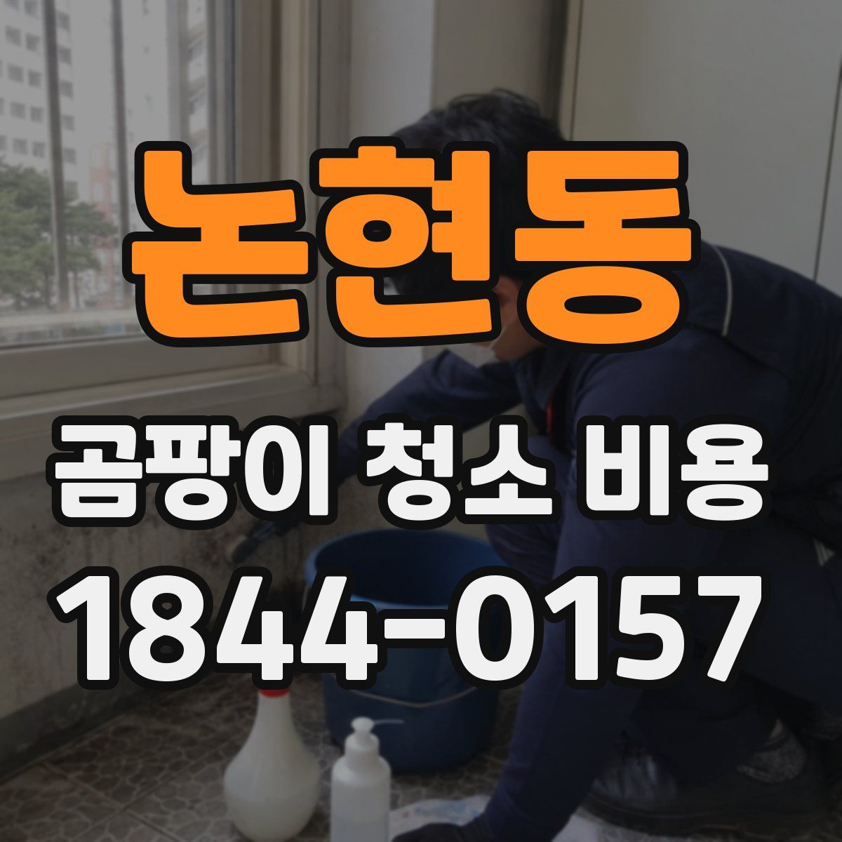 논현동 곰팡이 청소 비용