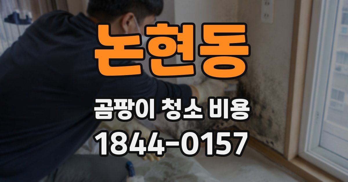 논현동 곰팡이 청소 비용