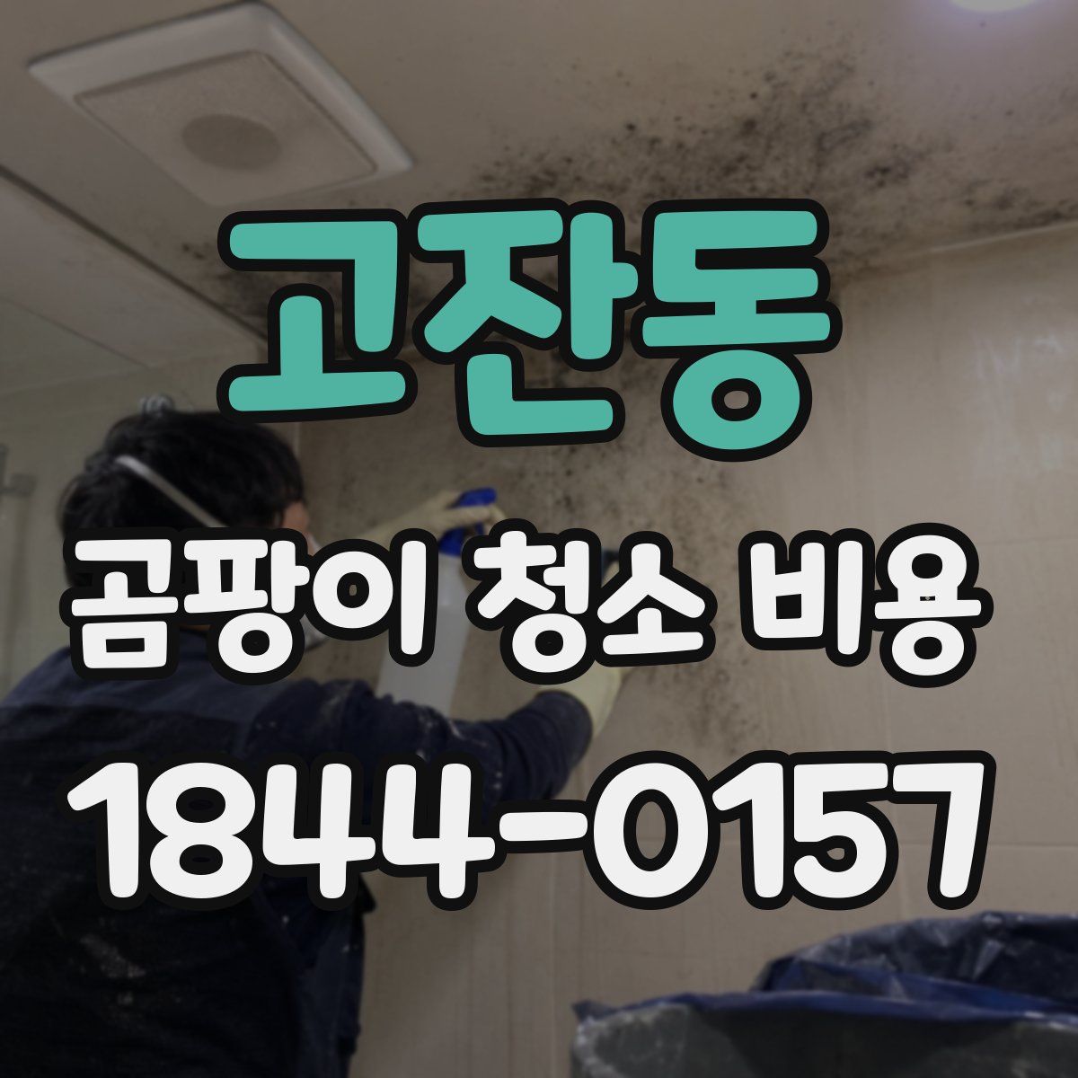 고잔동 곰팡이 청소 비용