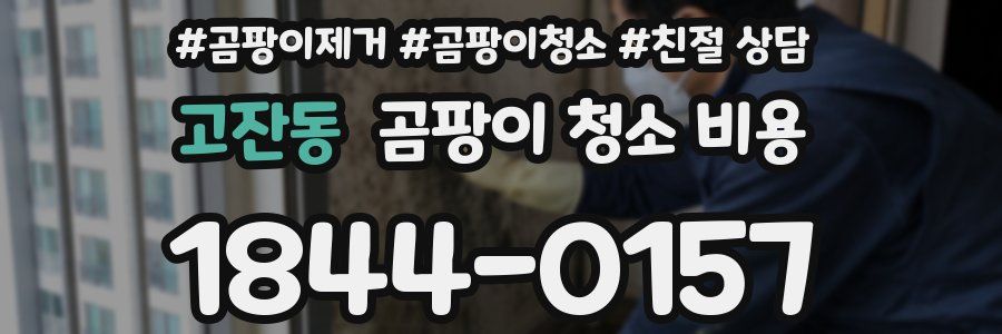 고잔동 곰팡이 청소 비용