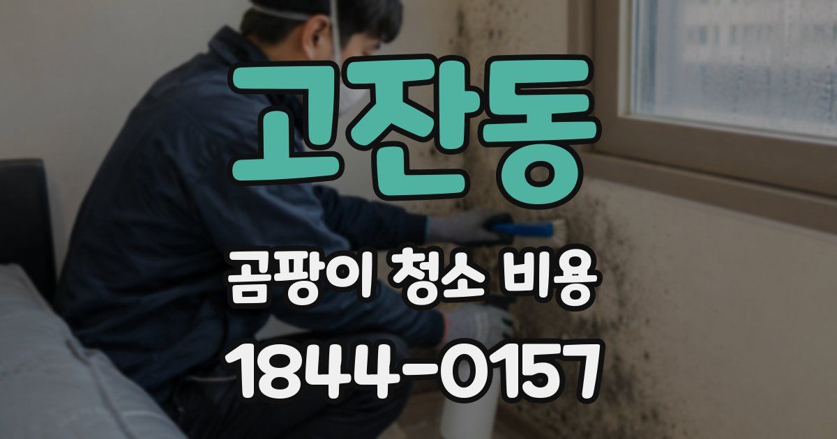 고잔동 곰팡이 청소 비용