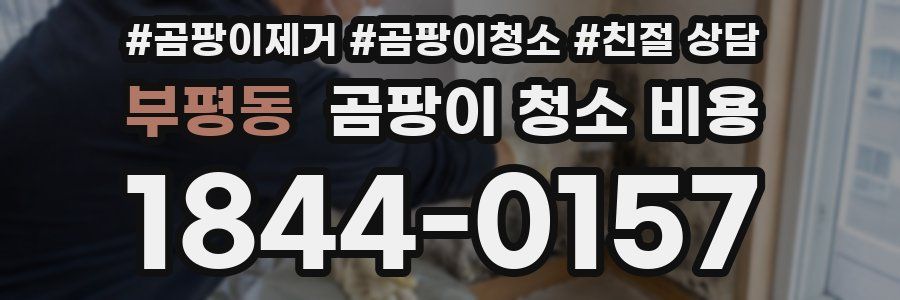 부평동 곰팡이 청소 비용