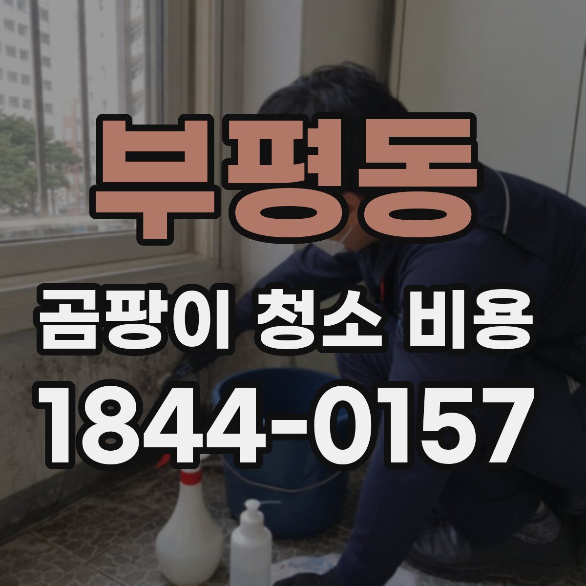부평동 곰팡이 청소 비용