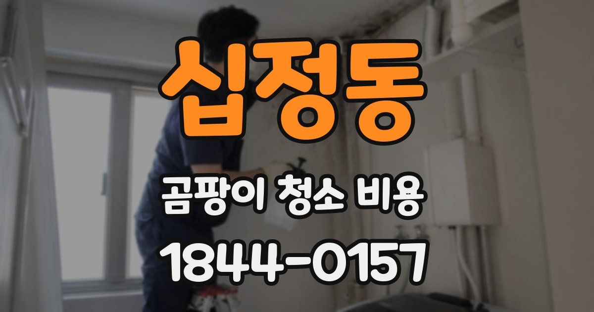 십정동 곰팡이 청소 비용