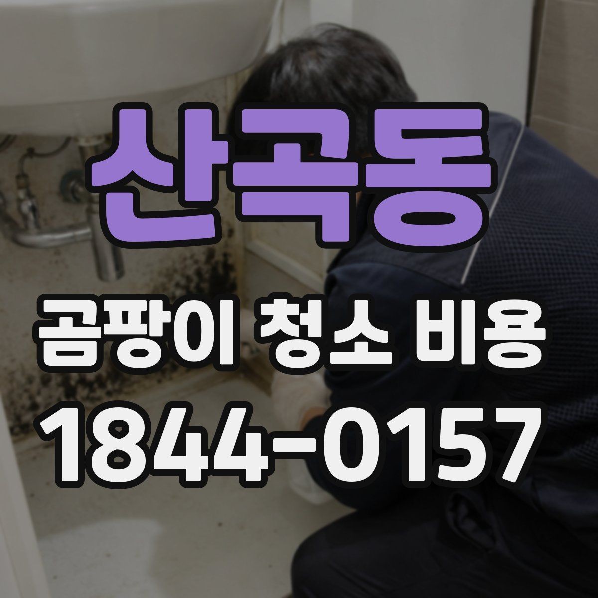 산곡동 곰팡이 청소 비용 견적서에서 확인할 것들
