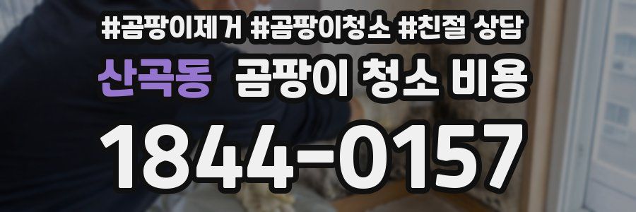 산곡동 곰팡이 청소 비용