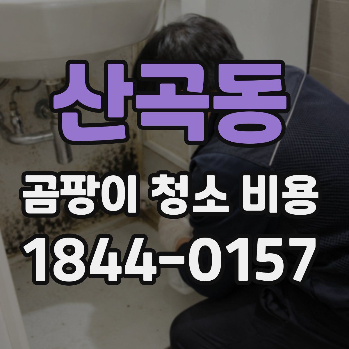 산곡동 곰팡이 청소 비용