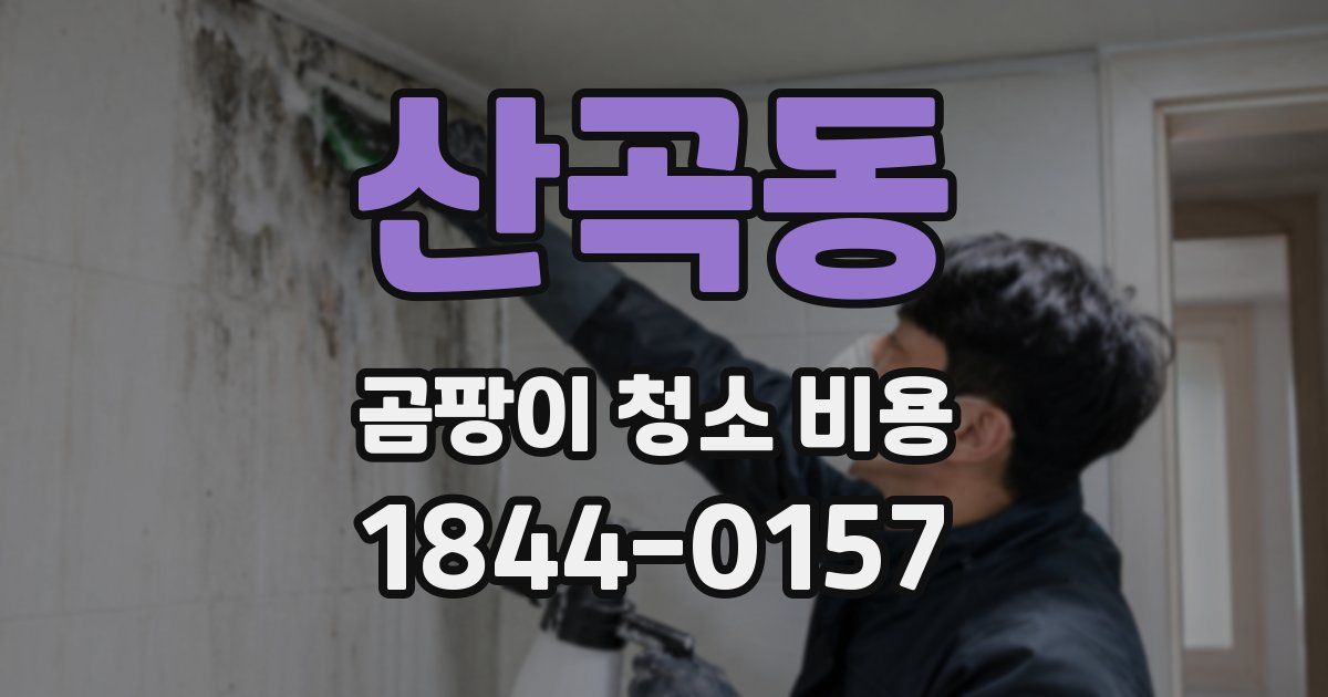 산곡동 곰팡이 청소 비용