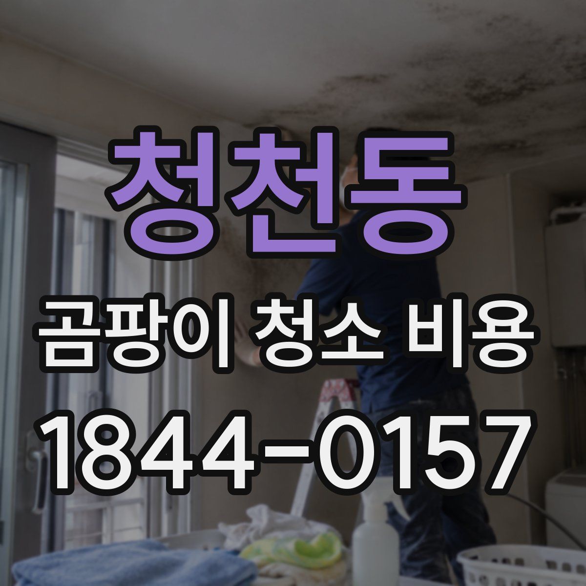 청천동 곰팡이 청소 비용