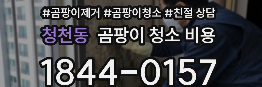 청천동 곰팡이 청소 비용