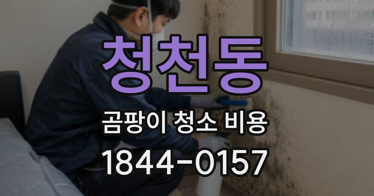 청천동 곰팡이 청소 비용