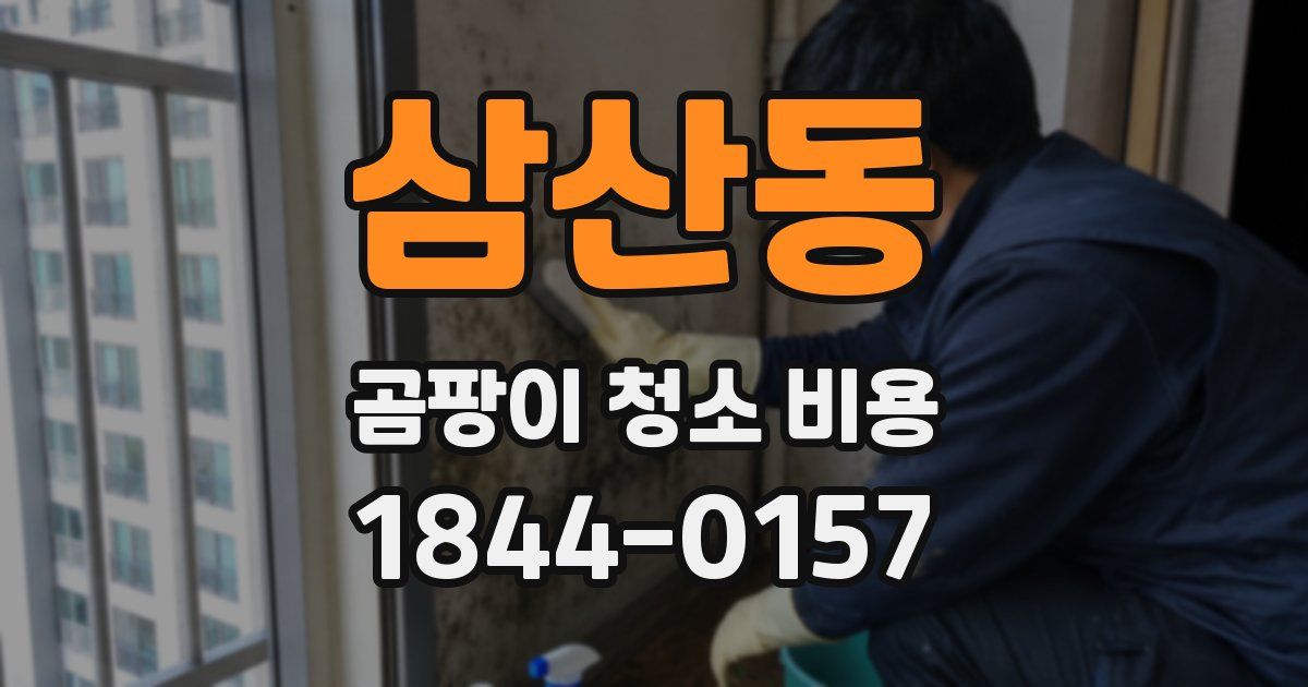 삼산동 곰팡이 청소 비용