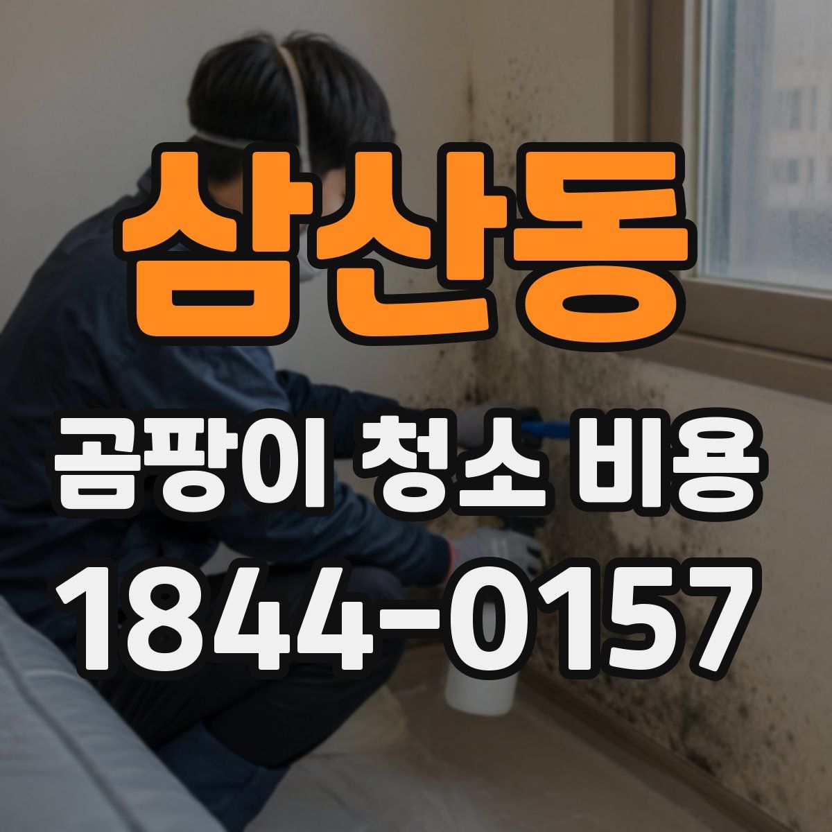 삼산동 곰팡이 청소 비용