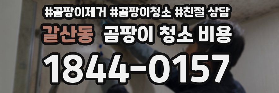 갈산동 곰팡이 청소 비용
