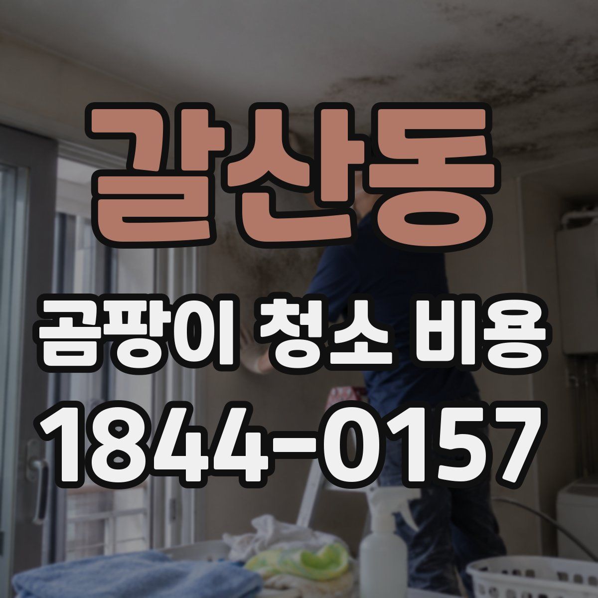 갈산동 곰팡이 청소 비용