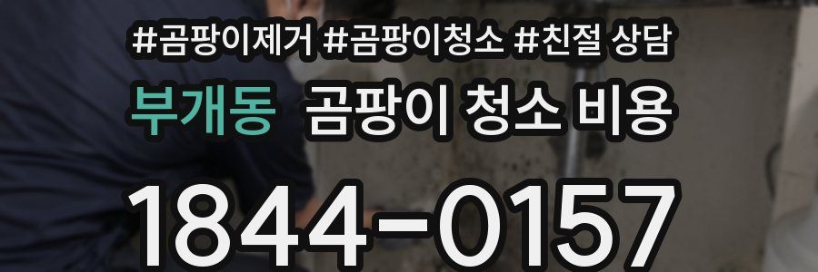부개동 곰팡이 청소 비용