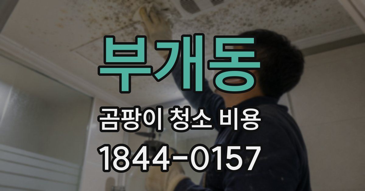부개동 곰팡이 청소 비용