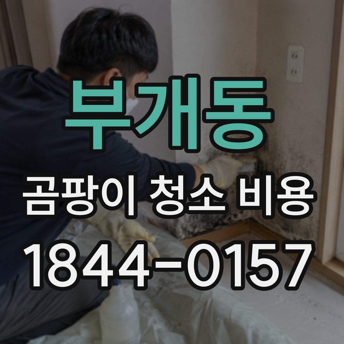 부개동 곰팡이 청소 비용