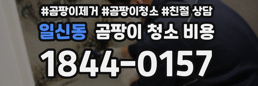 일신동 곰팡이 청소 비용