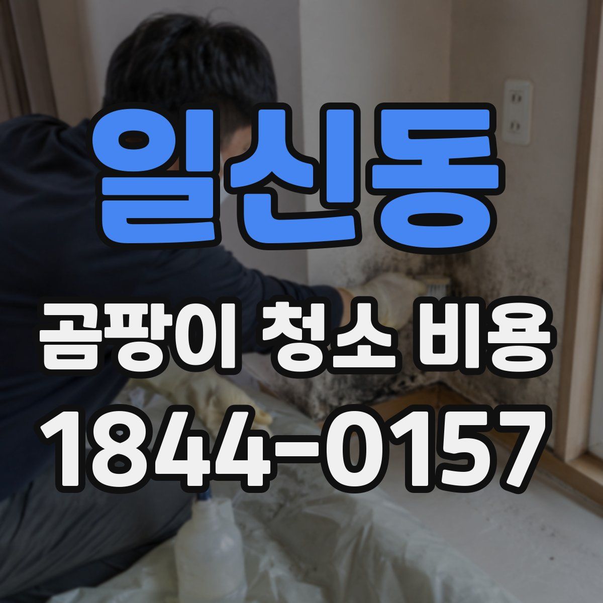 일신동 곰팡이 청소 비용