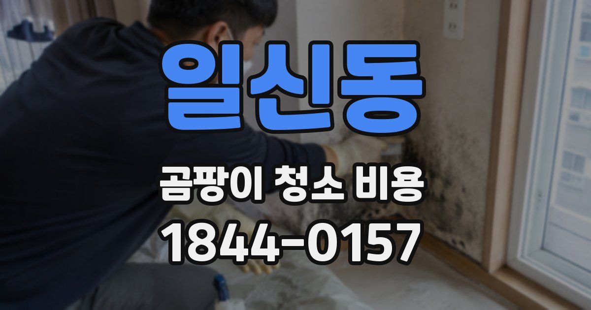 일신동 곰팡이 청소 비용