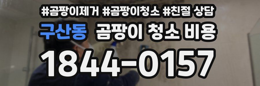 구산동 곰팡이 청소 비용