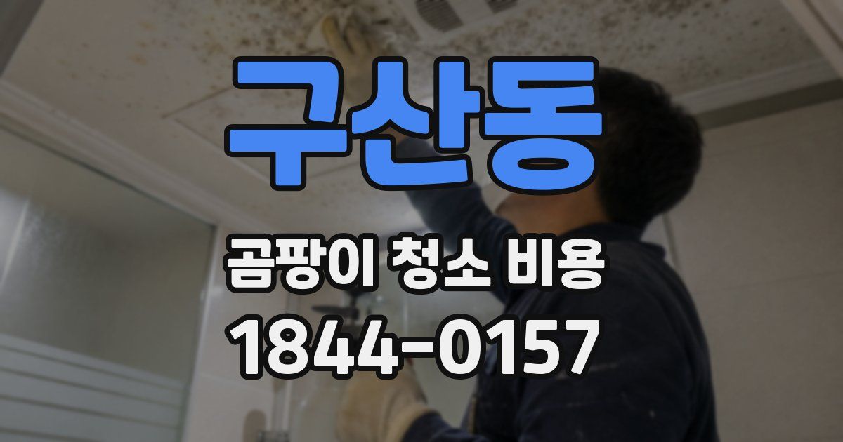 구산동 곰팡이 청소 비용