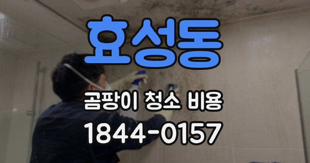 효성동 곰팡이 청소 비용