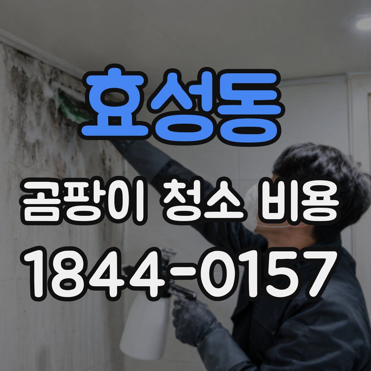 효성동 곰팡이 청소 비용