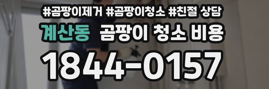 계산동 곰팡이 청소 비용